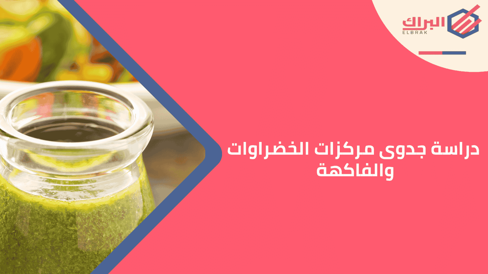 دراسة جدوى مركزات الخضراوات والفاكهة