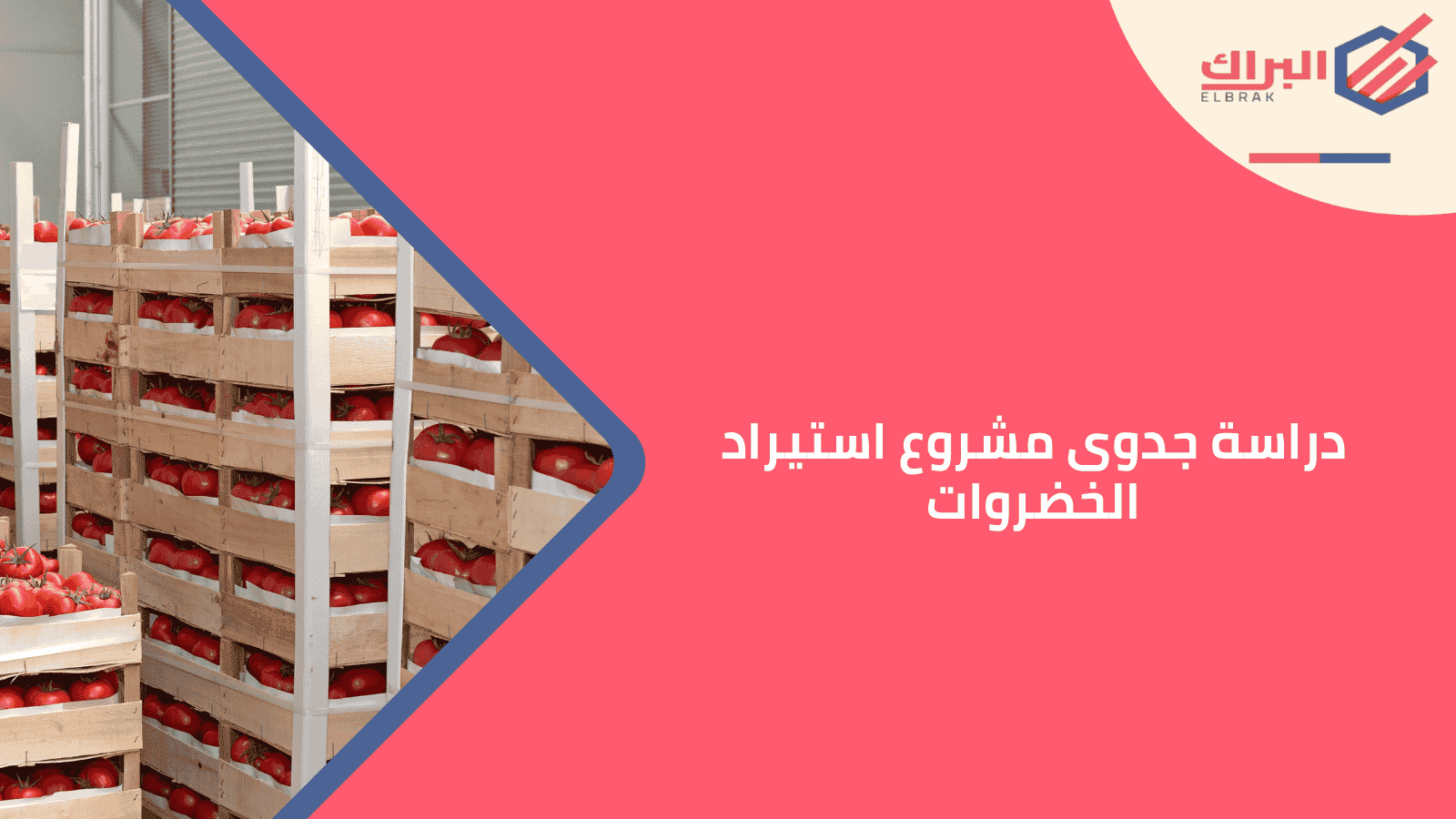 دراسة جدوى مشروع استيراد الخضروات