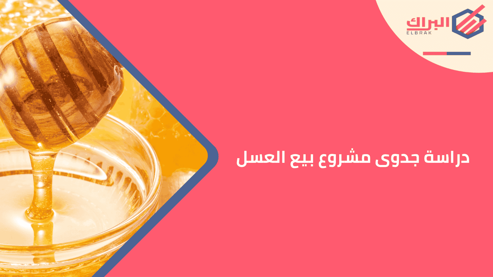 دراسة جدوى مشروع بيع العسل