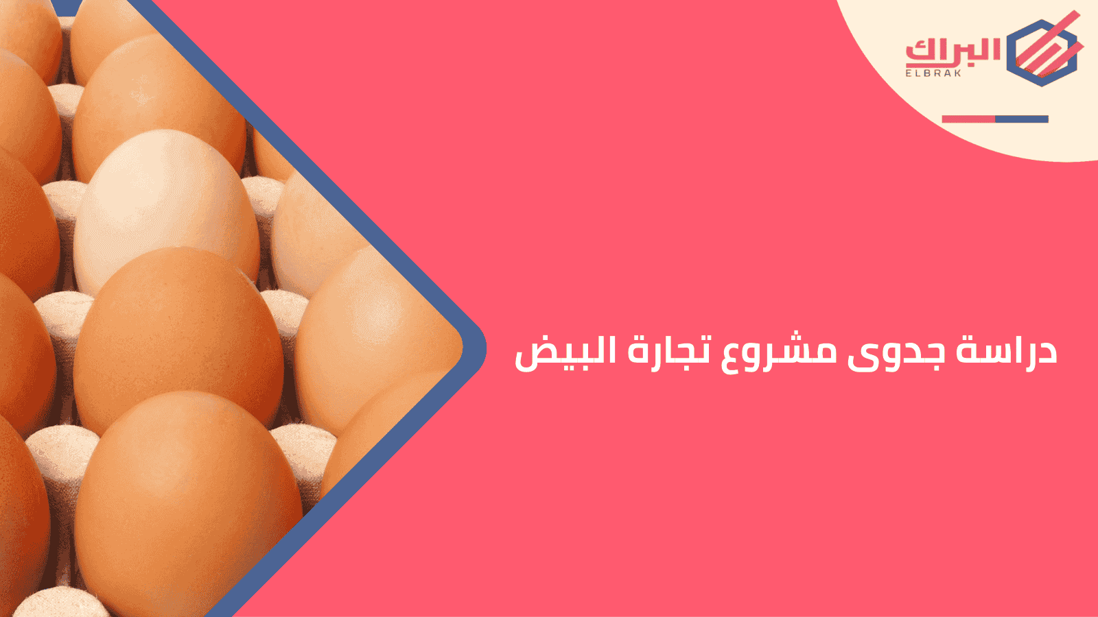 دراسة جدوى مشروع تجارة البيض