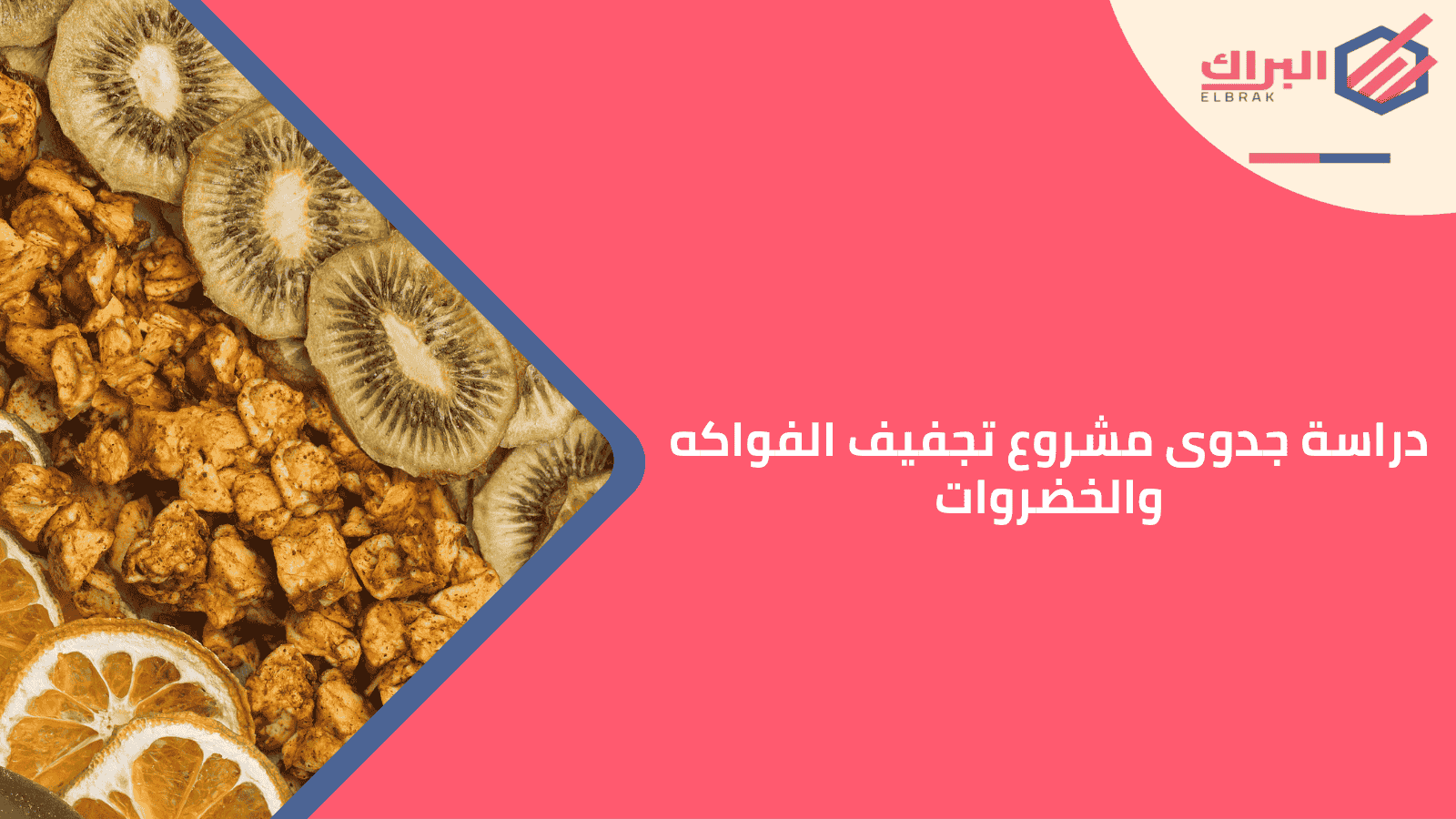 دراسة جدوى مشروع تجفيف الفواكه والخضروات