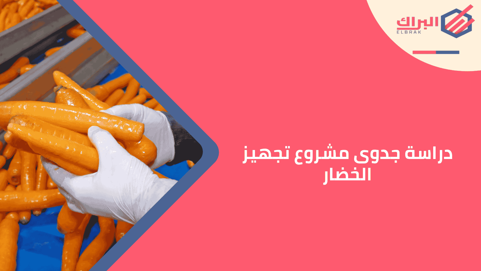 دراسة جدوى مشروع تجهيز الخضار