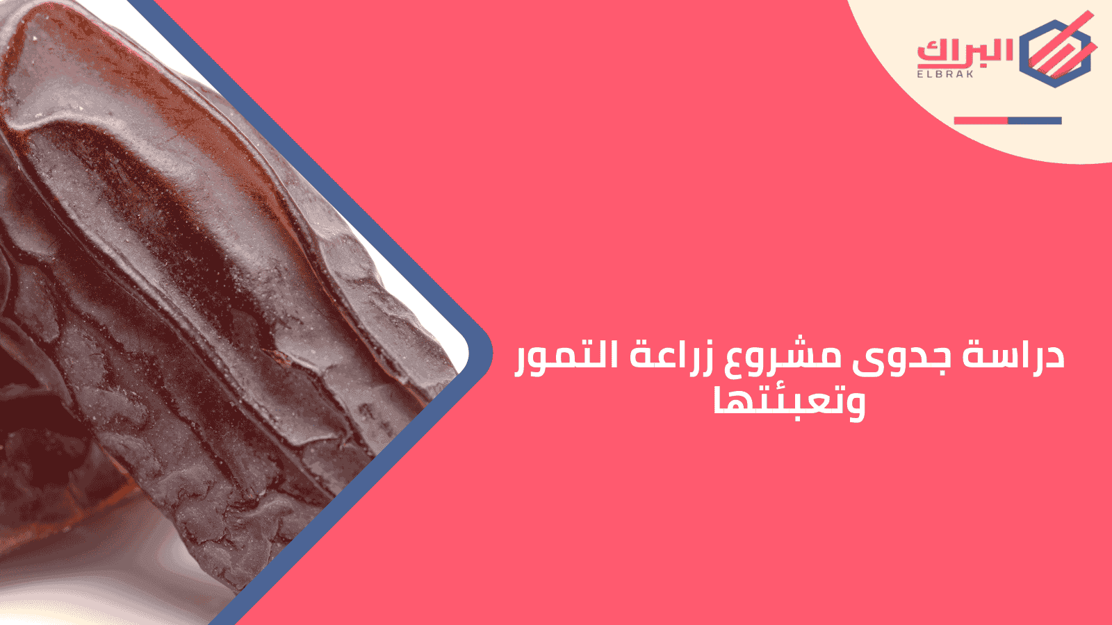 دراسة جدوى مشروع زراعة التمور وتعبئتها