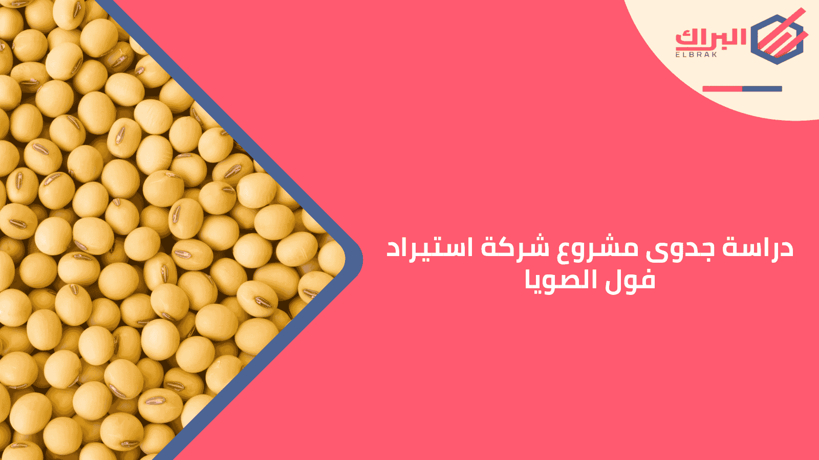 دراسة جدوى مشروع شركة استيراد فول الصويا