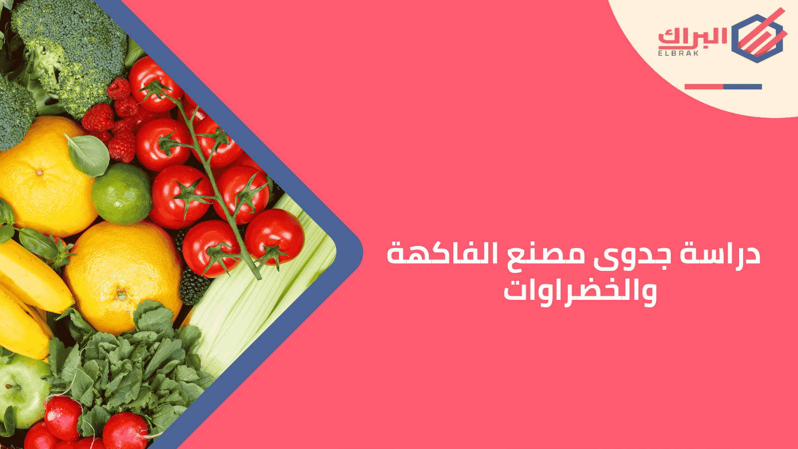 دراسة جدوى مصنع الفاكهة والخضراوات