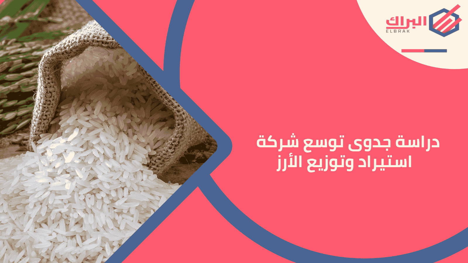 دراسة جدوى توسع شركة استيراد وتوزيع الأرز