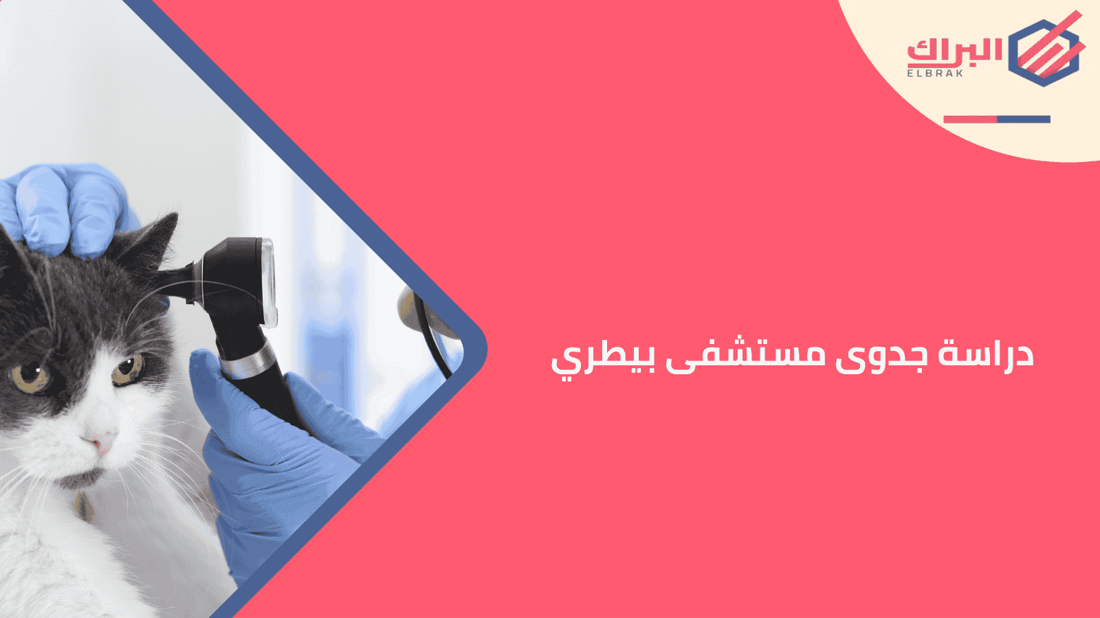 دراسة جدوى مستشفى بيطري