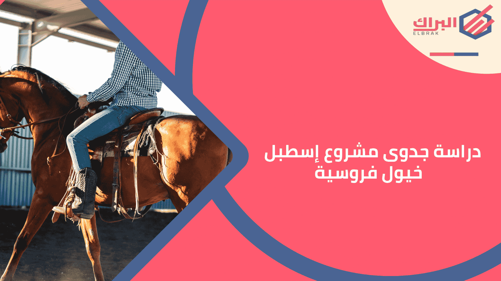 دراسة جدوى مشروع إسطبل خيول فروسية