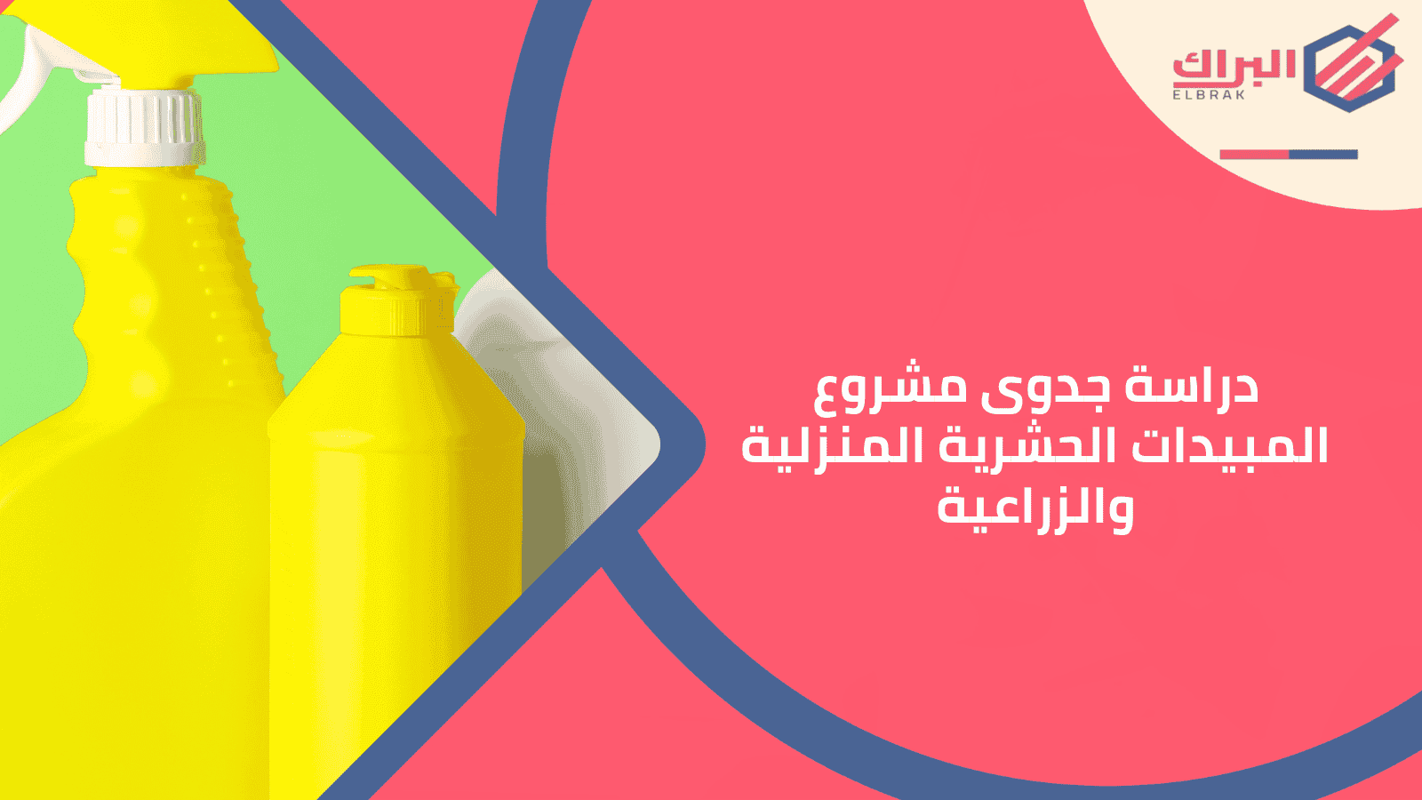 دراسة جدوى مشروع المبيدات الحشرية المنزلية والزراعية