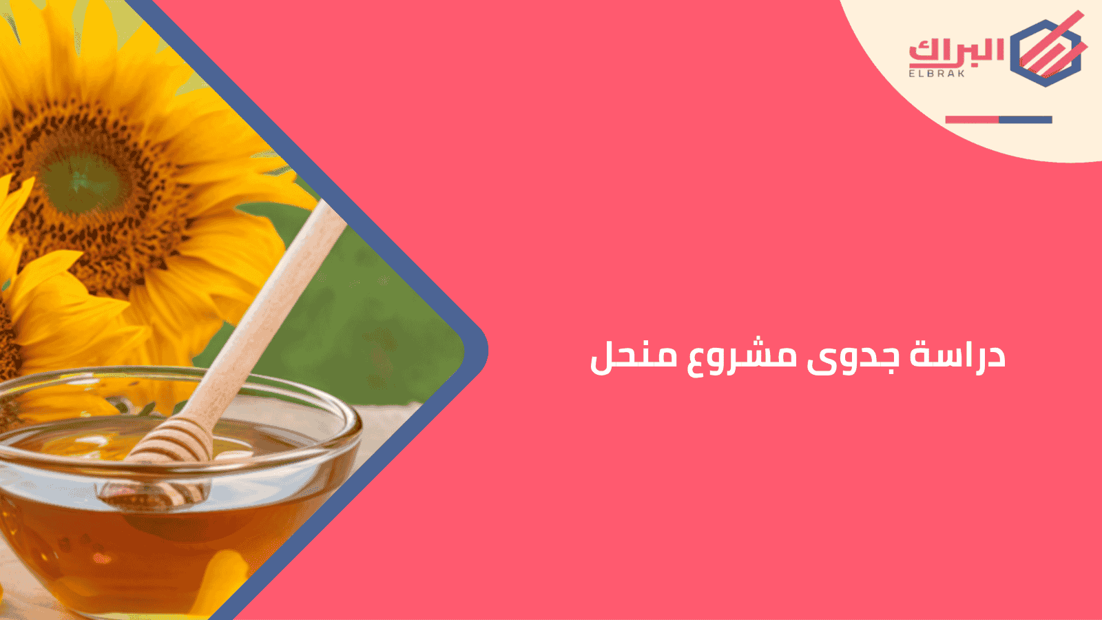 دراسة جدوى مشروع منحل (إنتاج عسل النحل)