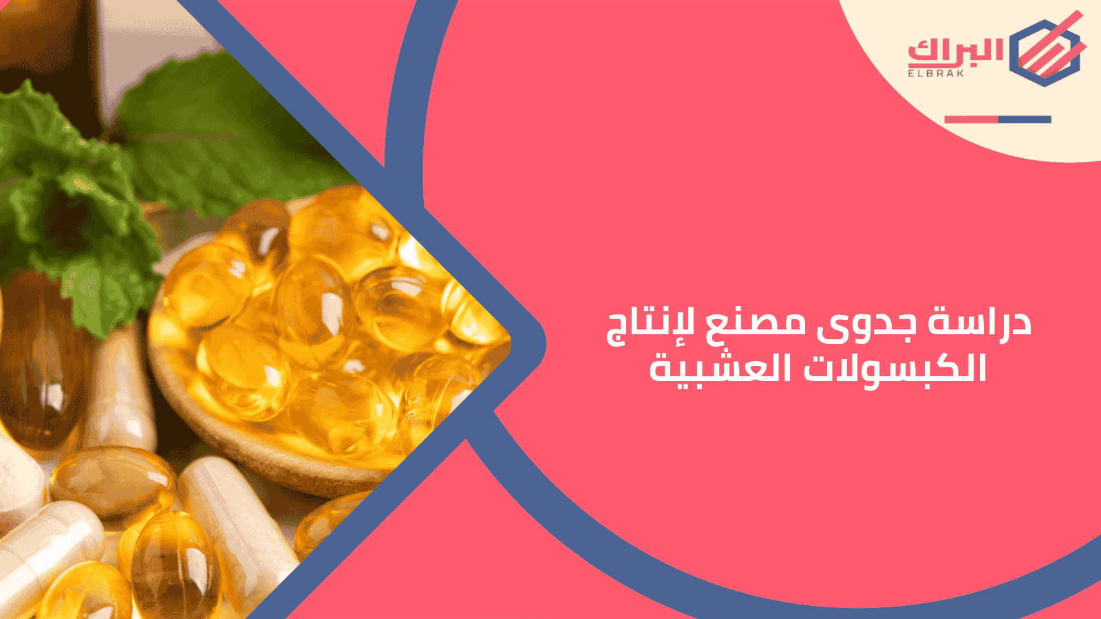 دراسة جدوى مصنع لإنتاج الكبسولات العشبية